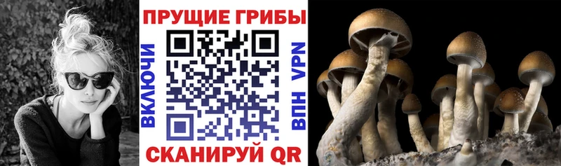 Купить  Казань  Галлюциногенные грибы ЛСД 