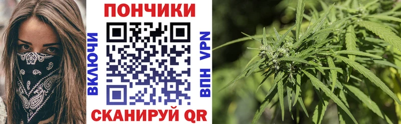 Канабис ГИДРОПОН  Купить закладки  Казань 